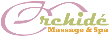 BIG_New-Logo_Orchide_color_360x120
